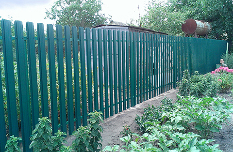 ��������� ����� �������� ������� ����