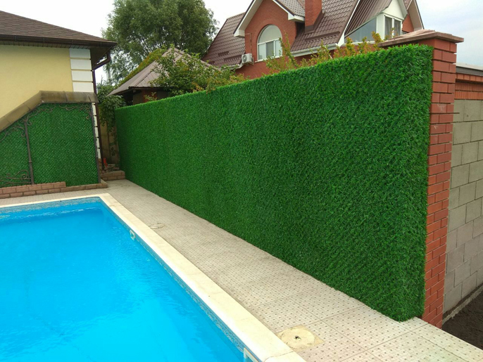 ������������ ������� ����� �������� ������� ����