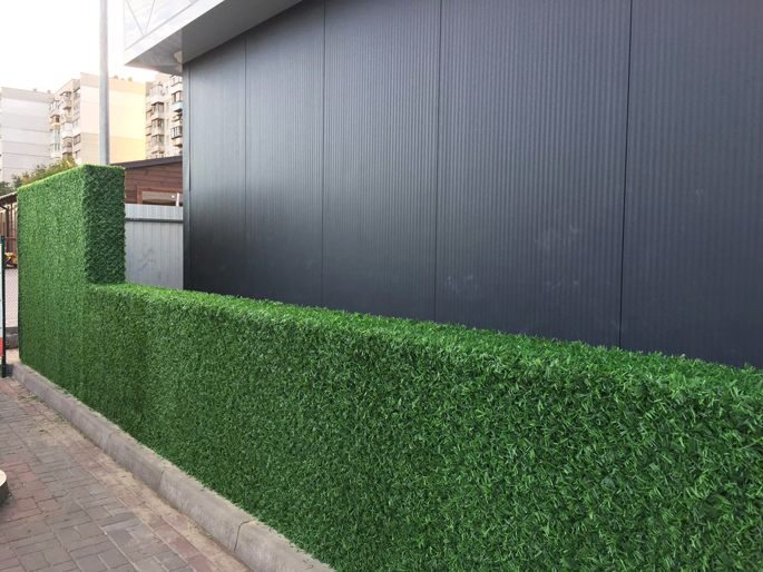 ������������� ������� ����� �������� ������� ����