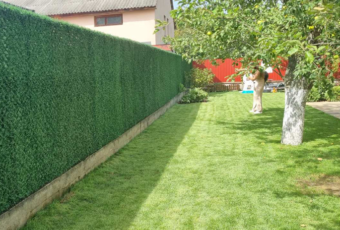 ������������� ������� ������ �������� ������� � ����