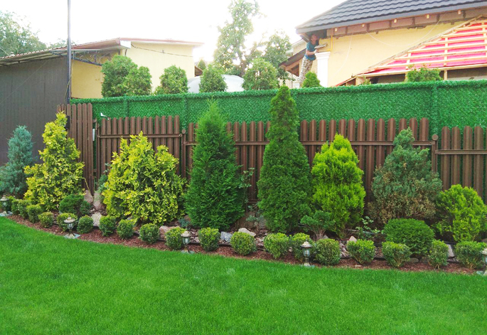 ������ ����� ��� ����������� ���� ����