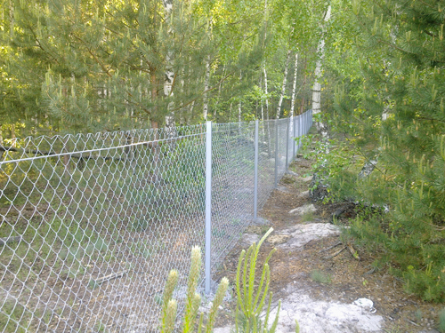 ������������� ������ �� �����