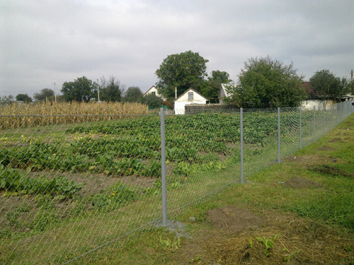 ���������� ������� ����� ������