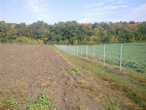 ���������� �� ���� ����� ������