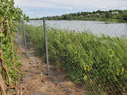 ����� ������ ����