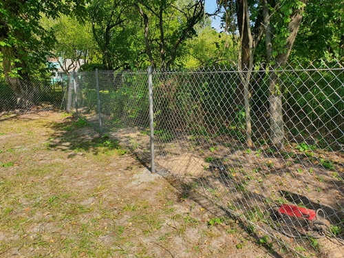 ����� �� ����� ������ ����