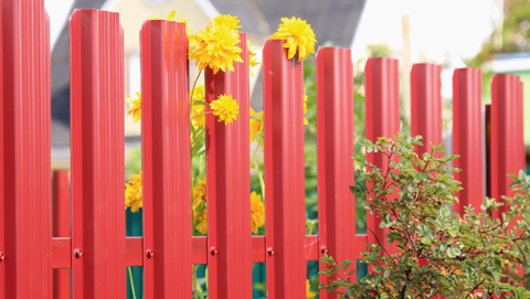 ��������� ����� ����