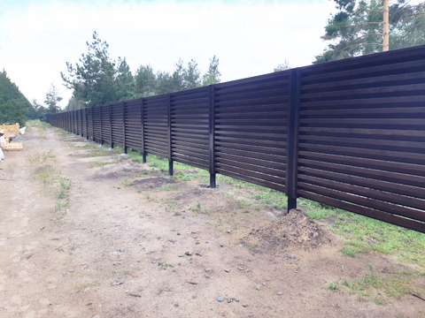 ����� �������