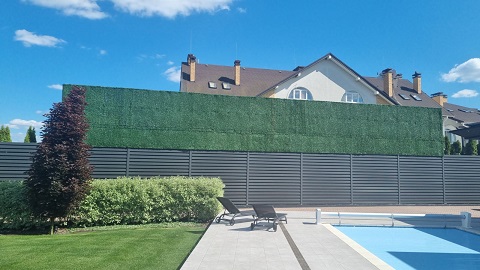 ����� ������ �������� ����