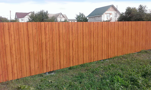 ����� ��� ������