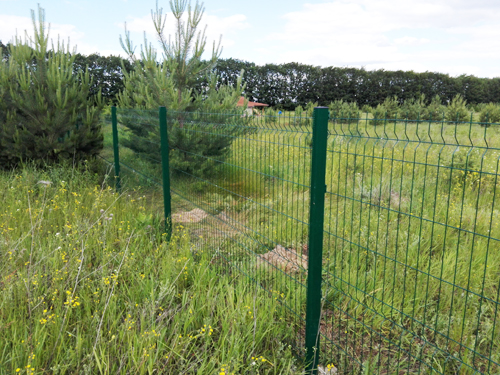 ����� �� �������� ������