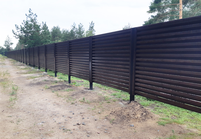 ����� ������ ���� ����